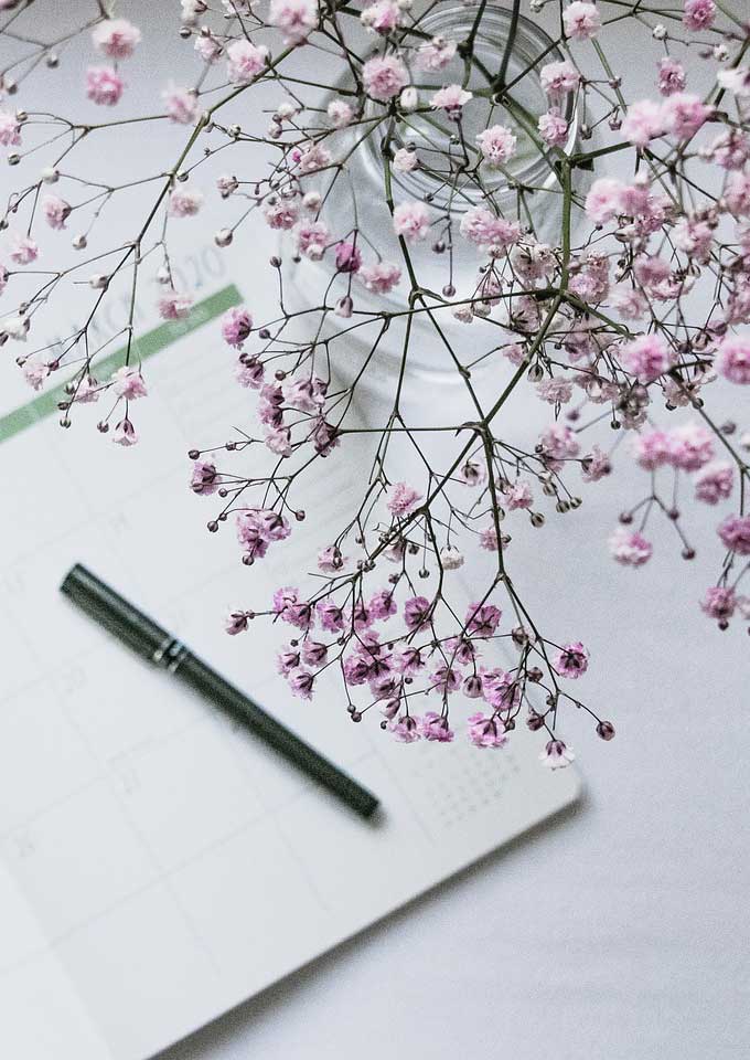 Veras Philosophie, im Blog schmökern.